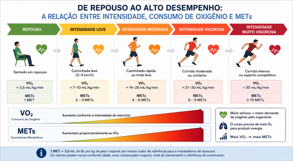 Relação entre consumo de oxigênio e METs.