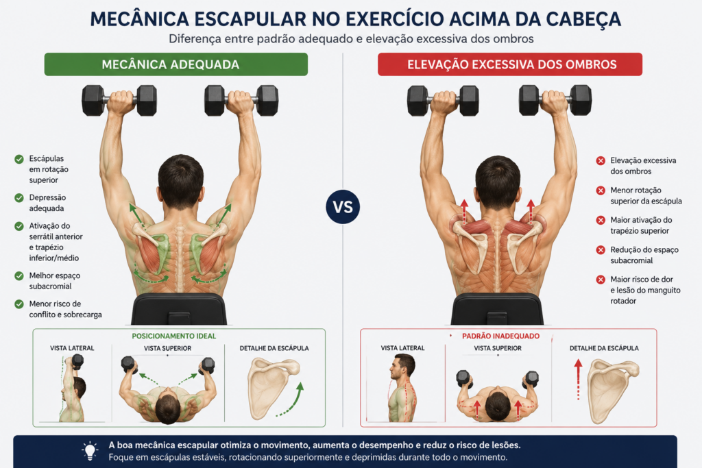 Comparação entre um movimento realizado com boa mecânica escapular e outro com elevação excessiva dos ombros durante exercícios acima da cabeça.