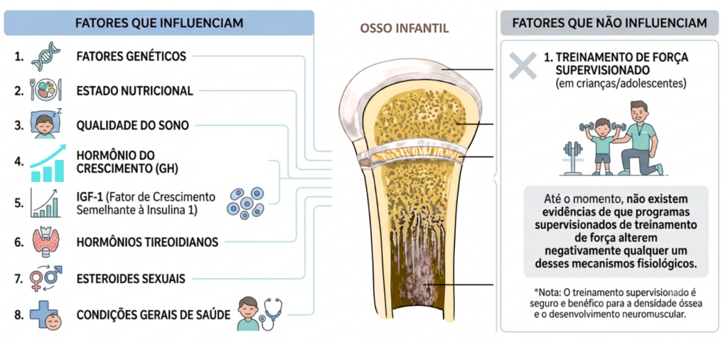 imagem ilustrativa em fundo branco que mostra fatores que influenciam no crescimento e o que não tem relação