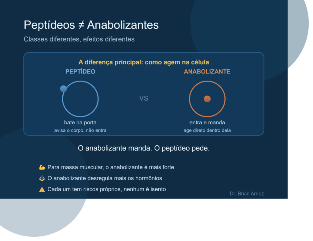 Peptídeos e anabolizantes: como cada um age na célula e suas diferenças